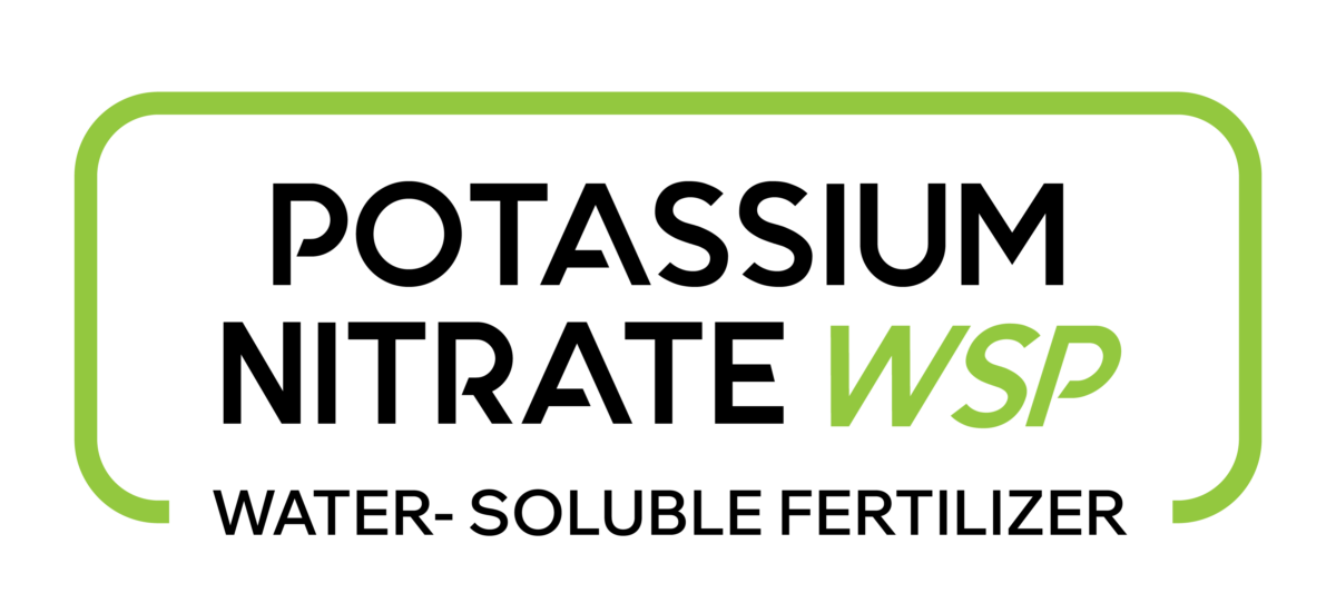 نترات البوتاسيوم WSP
