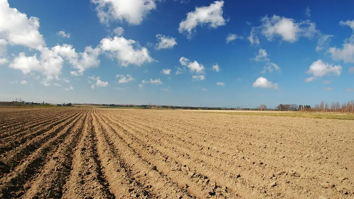 Biological crop protection for high-value specialty and row crops using patented multi-mode technology.